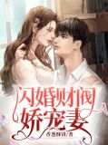 闪婚财阀娇宠妻顾浅茉沈奕