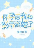 怀孕后我和影帝离婚了